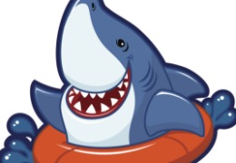 食品原料小百科：硫酸軟骨素可以用在什么地方？