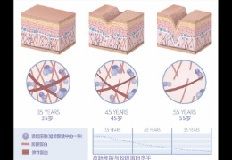 水潤皮膚的秘密武器，乙酰殼糖胺和透明質(zhì)酸的甜蜜聯(lián)盟！